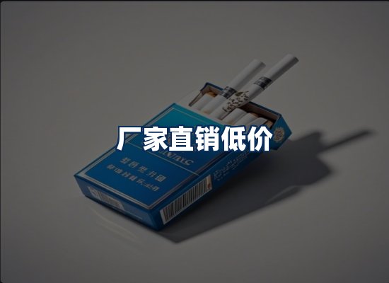专业团队办公环境
